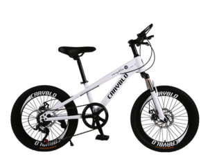 white-suspension-mountain-bike
