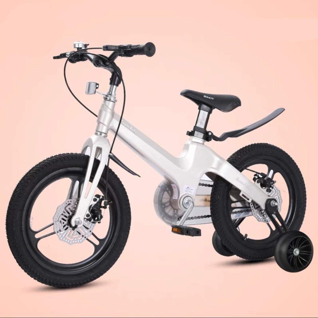 Magnesium Gold kids bicycle dual disk brakes