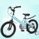 12 inch tiffany blue magnesium kids bike