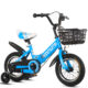 Sky blue folding bike